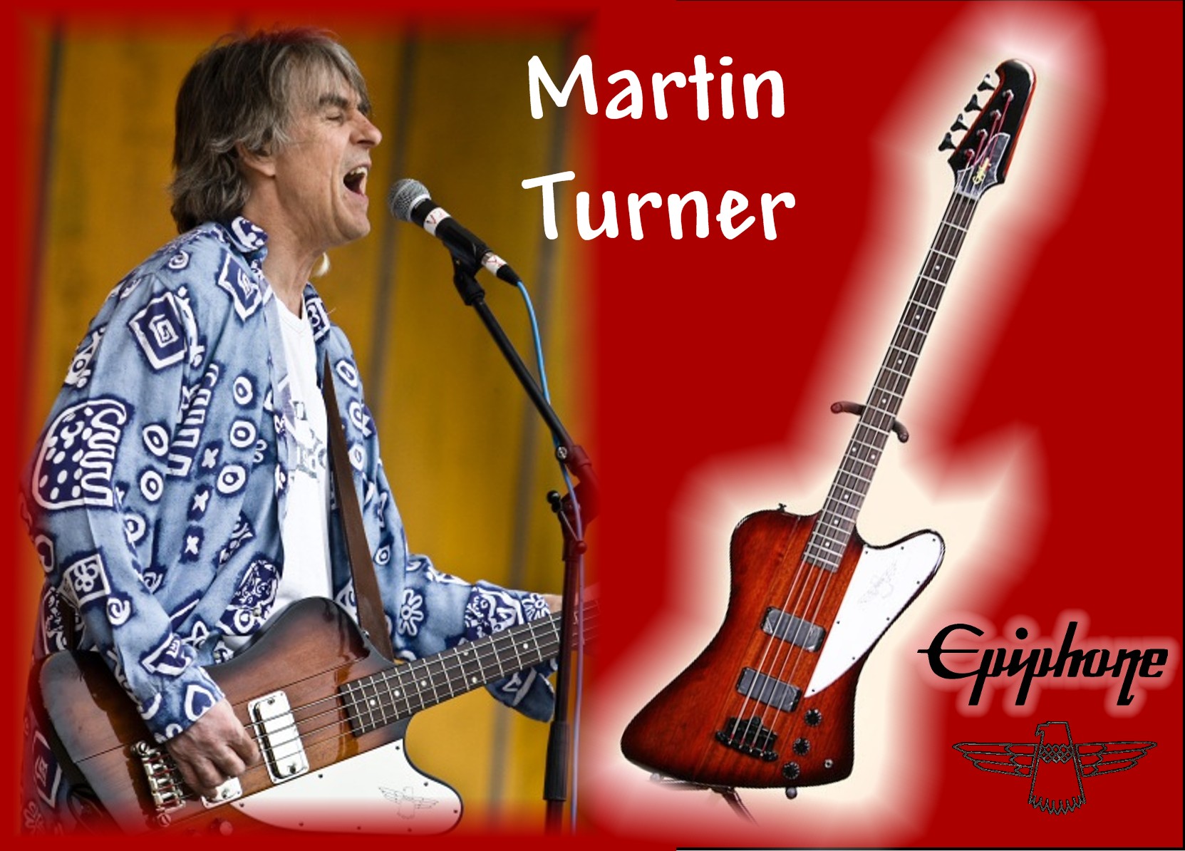 epiphone_thunderbird_ebay